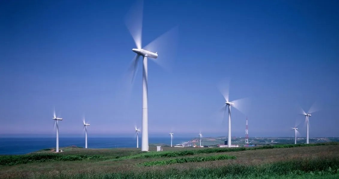 Всесвітній день вітру (Global Wind Day)