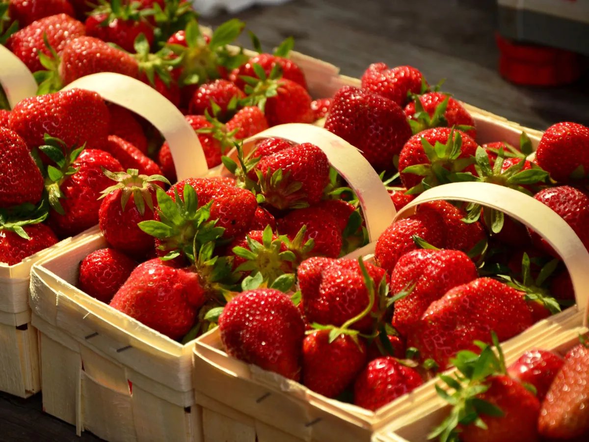 Фермери відвантажують полуницю за ціною від 40 до 80 грн/кг