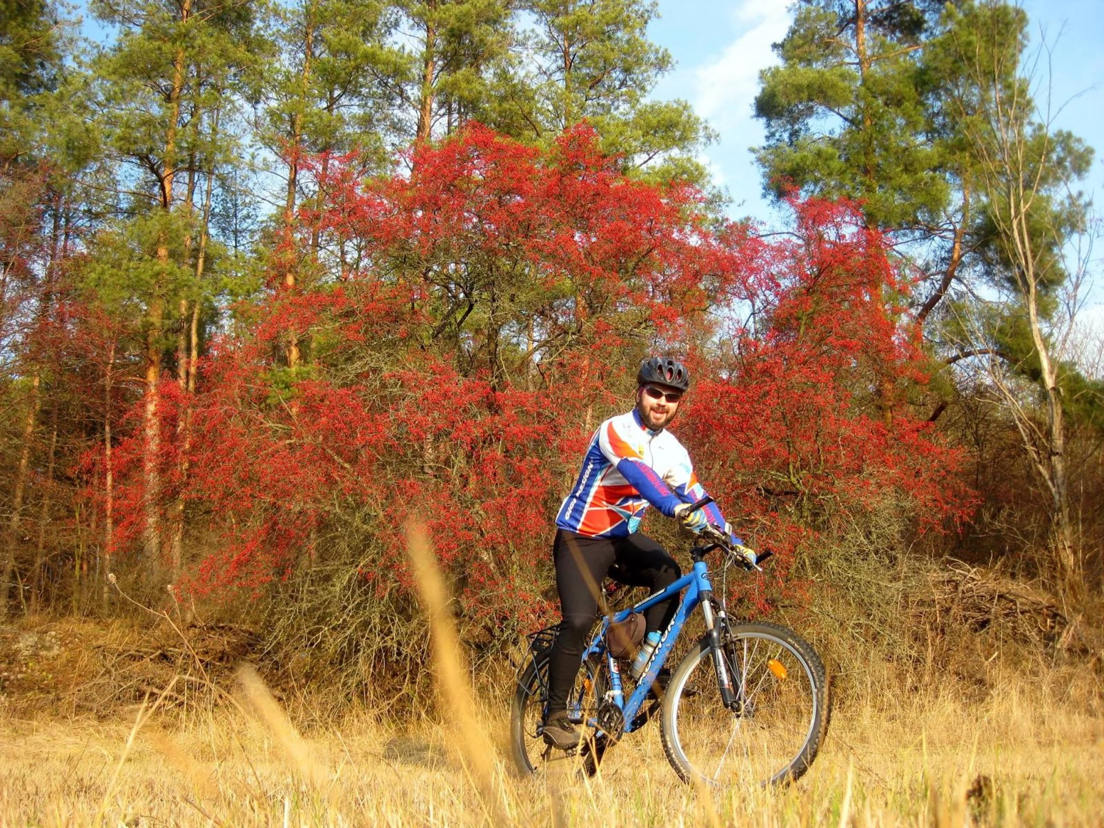 Помаранчевий колір - це гарно та екологічно Помаранчевий колір - це гарно та екологічно