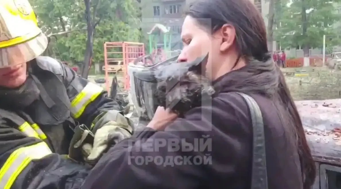 Кадр із відео Кіт Шаміль отримав опіки внаслідок удару
