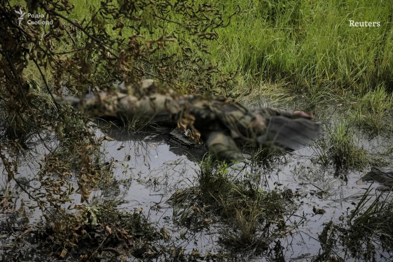 Тіла окупантів вздовж дороги. Фото: Reuters