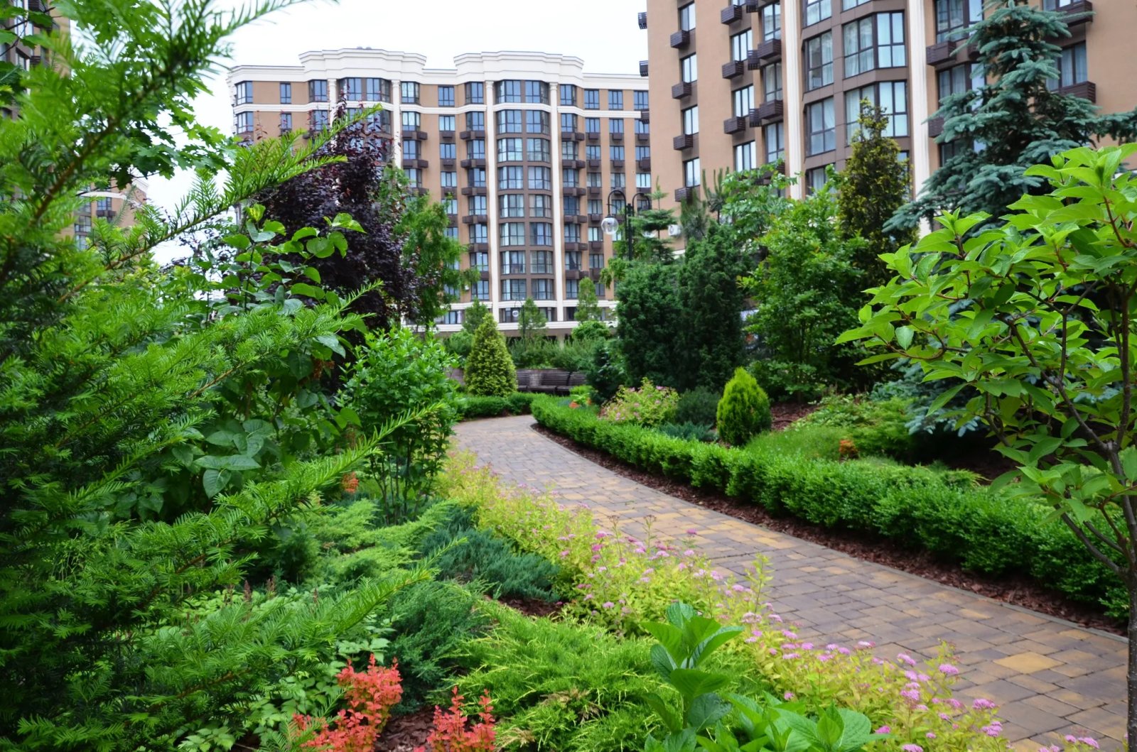 Дощові сади в ЖК Файна Таун в Києві Дощові сади в ЖК Файна Таун в Києві