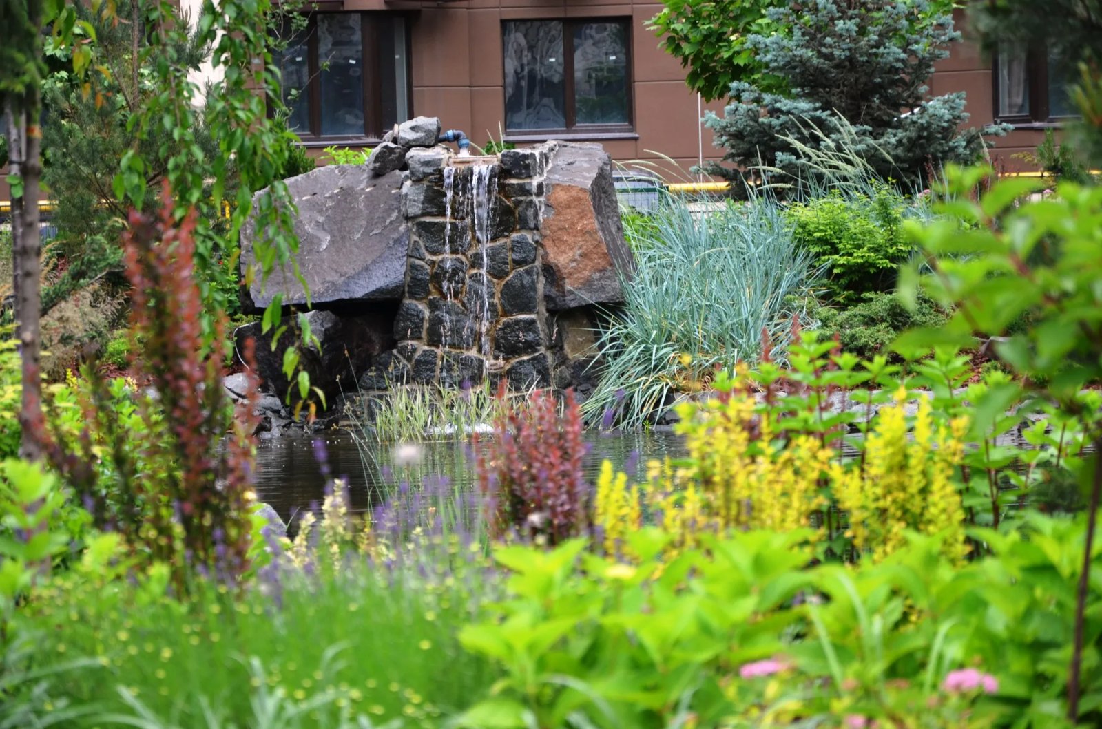 Дощові сади в ЖК Файна Таун в Києві Дощові сади в ЖК Файна Таун в Києві