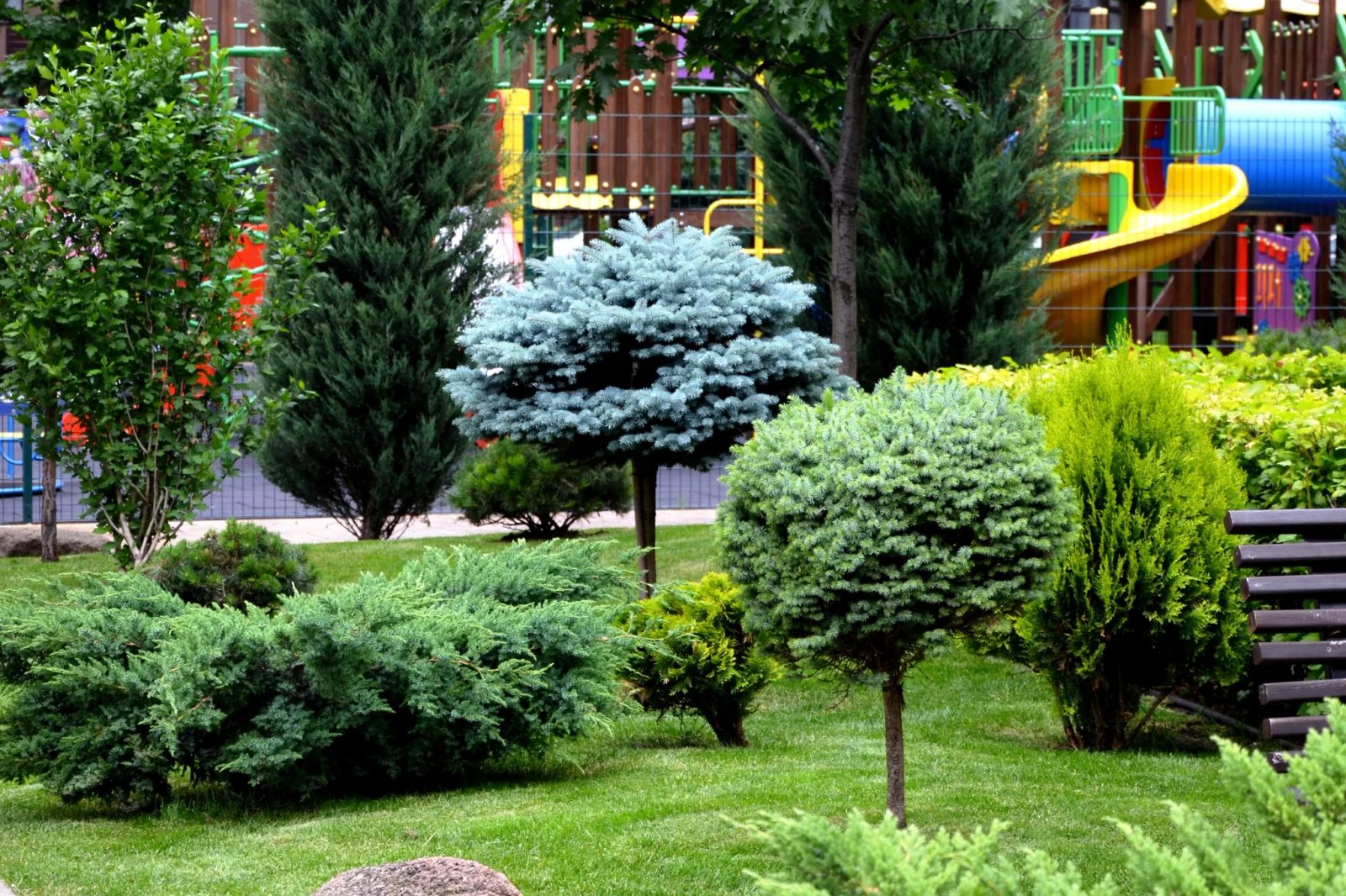 Дощові сади в ЖК Файна Таун в Києві Дощові сади в ЖК Файна Таун в Києві