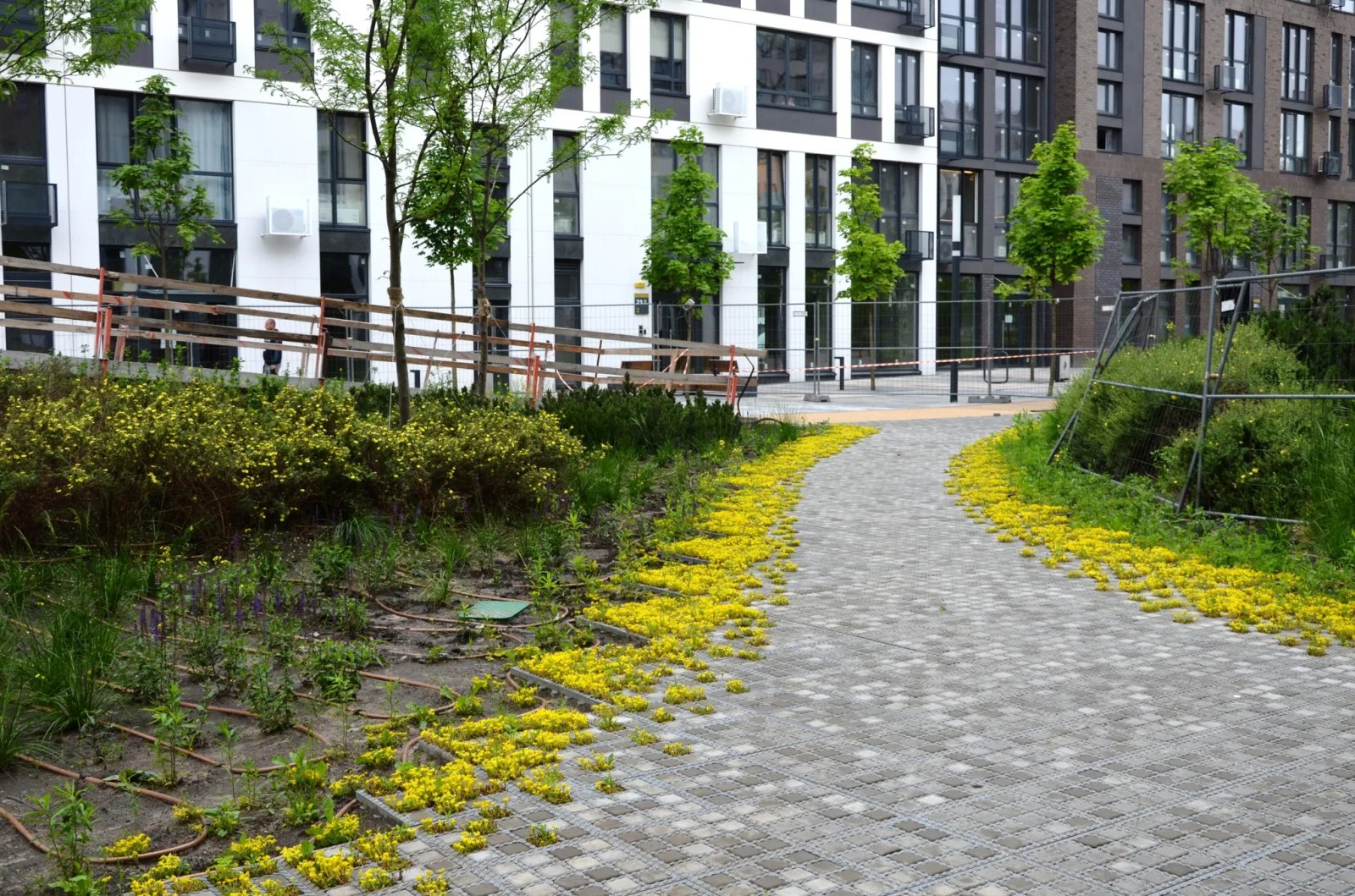Дощові сади в ЖК Файна Таун в Києві Дощові сади в ЖК Файна Таун в Києві
