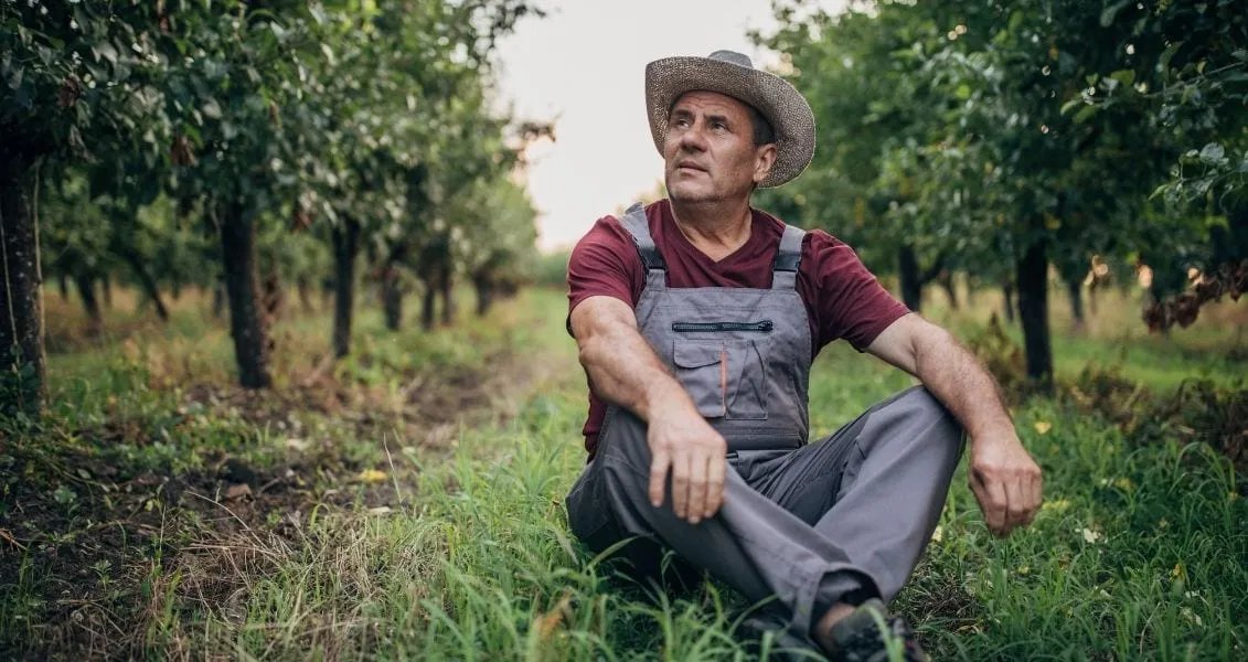 19 червня Україна відзначає День фермера