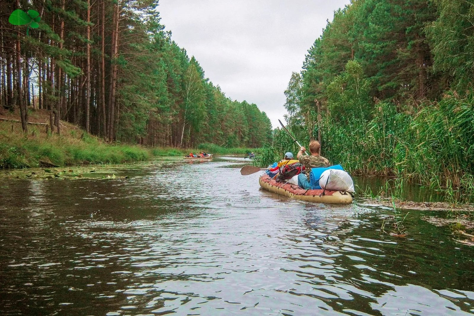 Саме з Дня Феодота, 20 червня, починали ходити на водойми і купатися