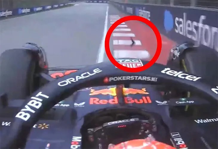 Міг погано закінчити: лідер перегонів Формули-1 ледь не загинув через пташку 1