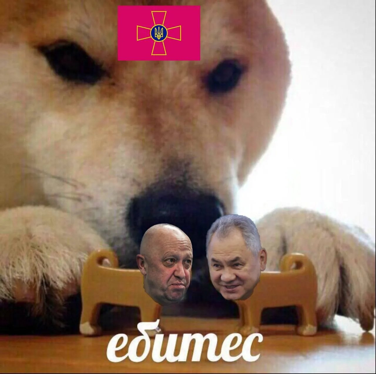 Шойгу VS Пригожин