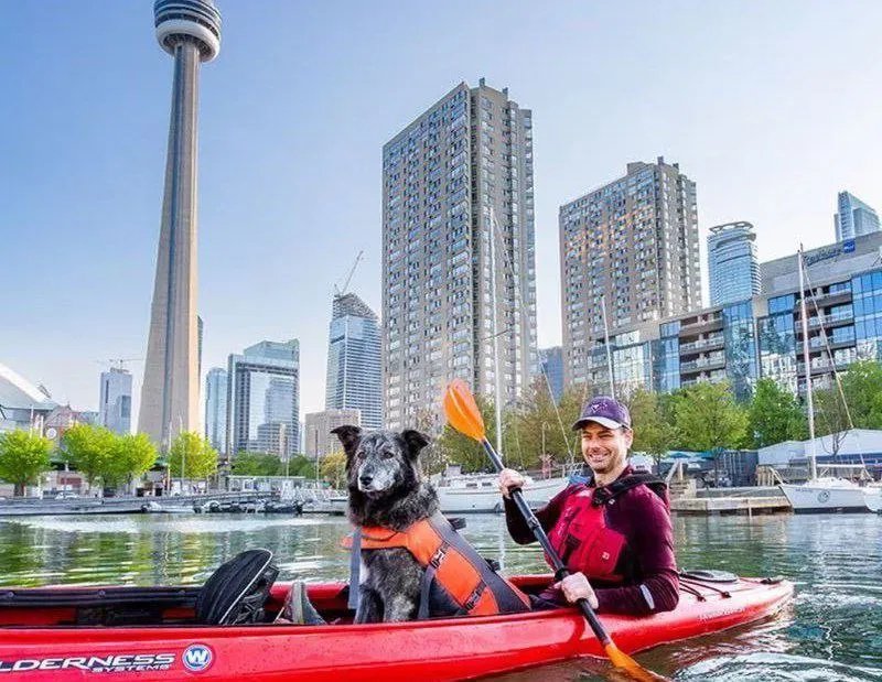 Моллі та Тобі Хіпс