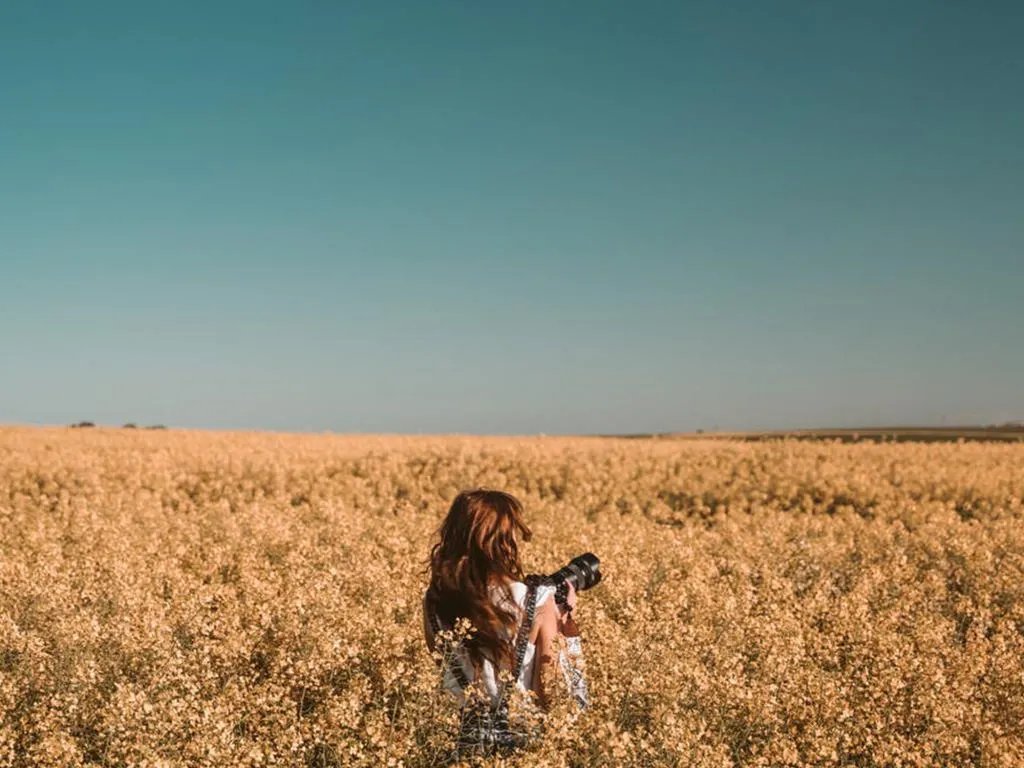 28 червня травники і знахарі збирають рослини, з яких варять лікувальні настої 28 червня травники і знахарі збирають рослини, з яких варять лікувальні настої