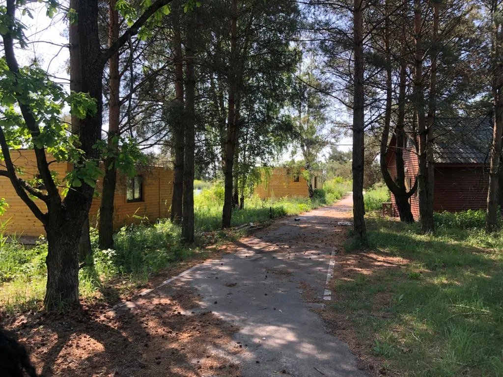 Суд арештував мисливські угіддя та земельні ділянки. Фото: Київська обласна прокуратура Суд арештував мисливські угіддя та земельні ділянки. Фото: Київська обласна прокуратура
