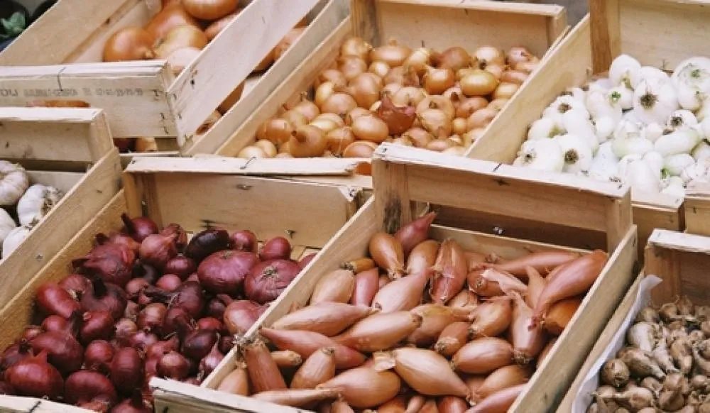 Цибуля, томати та картопля: які овочі не потрібно зберігати в морозильній камері 3