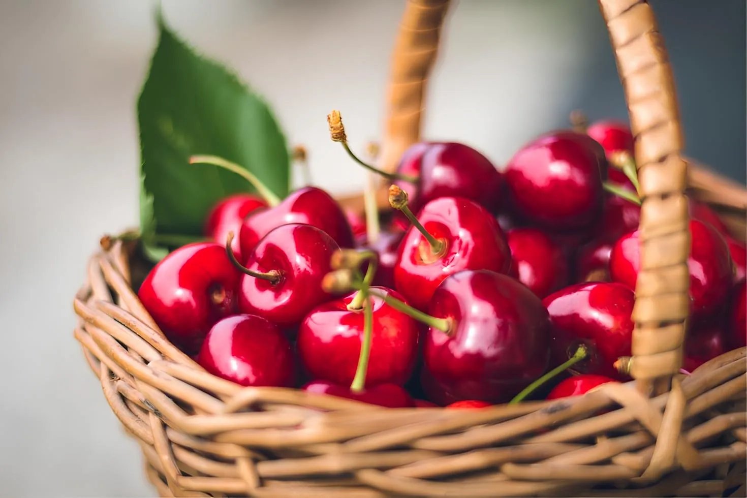 Черешня має бути рівномірно забарвленою - середнього розміру