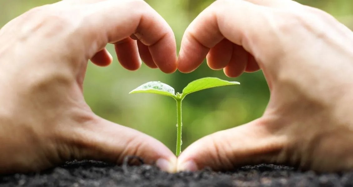 День працівника природно-заповідної справи День працівника природно-заповідної справи