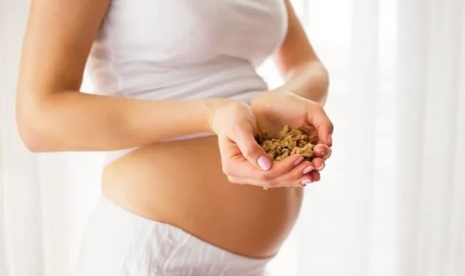 Волоський горіх може замінити м'ясо: корисні властивості та протипоказання продукту 2