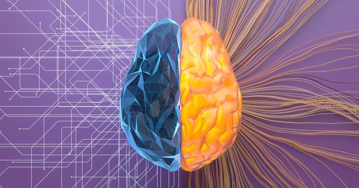 Волоський горіх може замінити м'ясо: корисні властивості та протипоказання продукту 1