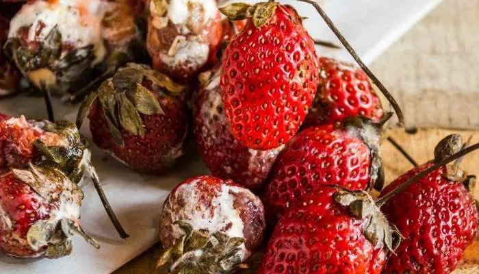 Як варити варення: найпоширеніші помилки 1