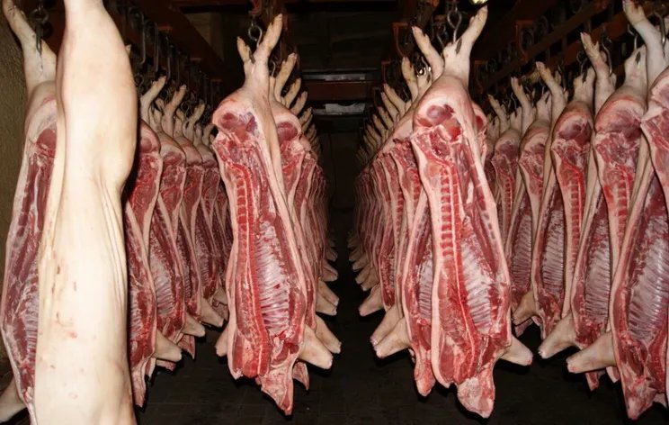 Чи можливо уникнути смертельної пандемії, яка може бути небезпечнішою за COVID-19? 1