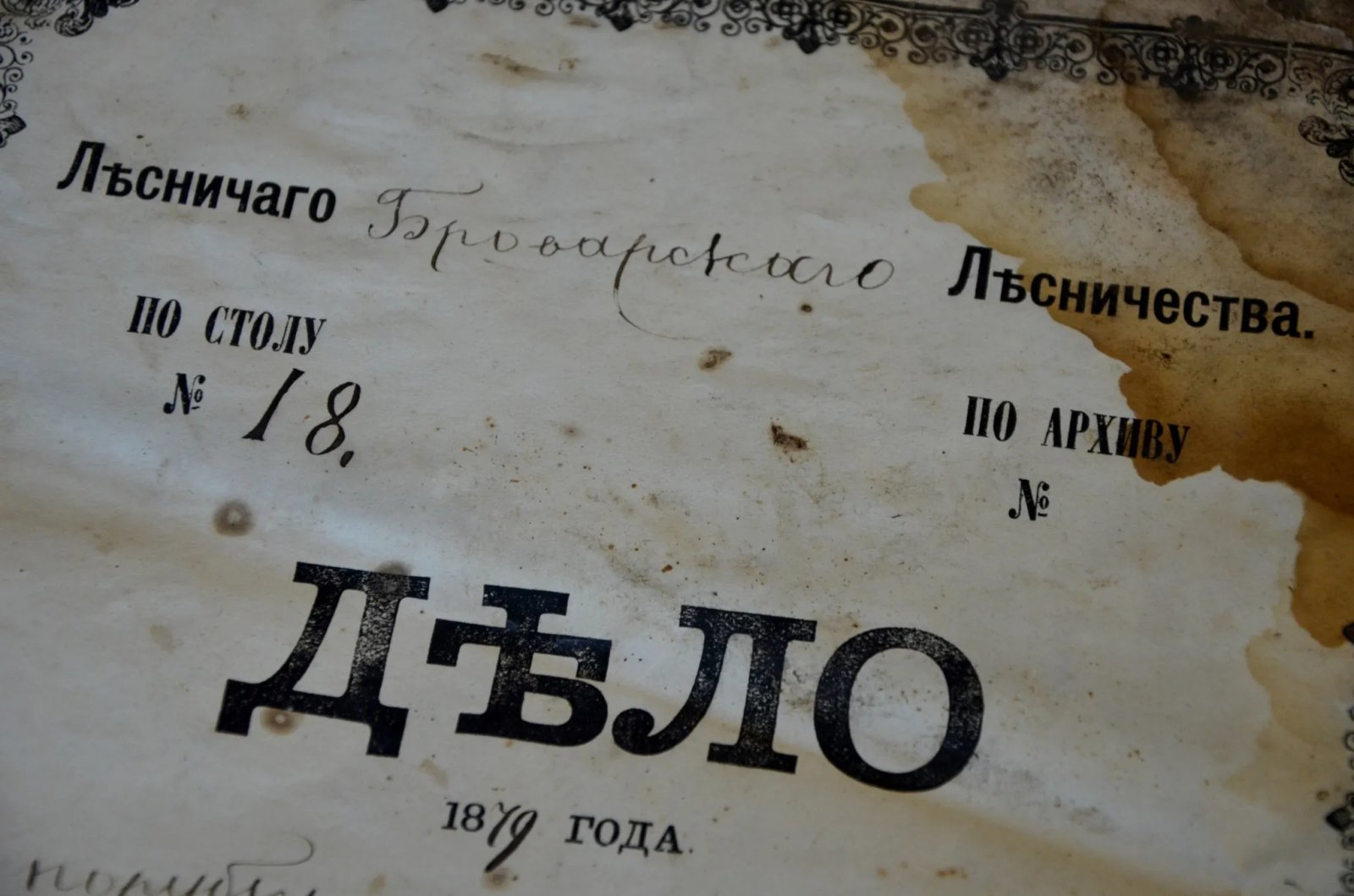 У Киева обустраивают Музей леса после находки древних документов 1