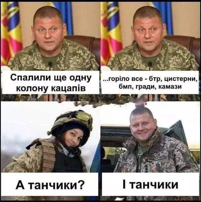 Заспокійливе Залужного