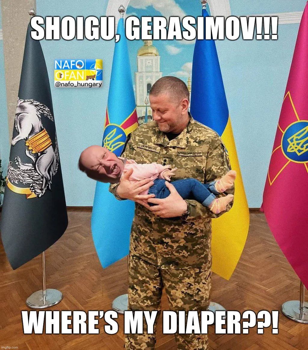 Шойгу, Герасимов, де мій памперс?