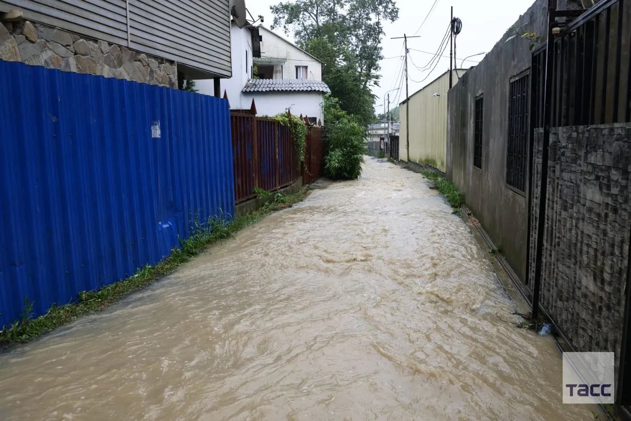 Россия идет под воду: в Сочи ливень затопил дома и авто - фото и видео