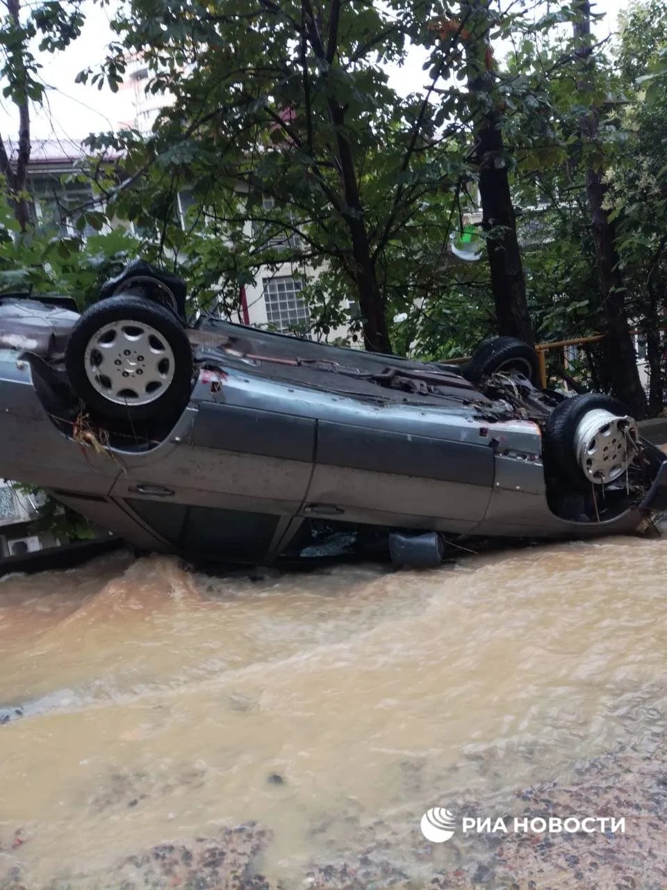 Россия идет под воду: в Сочи ливень затопил дома и авто - фото и видео