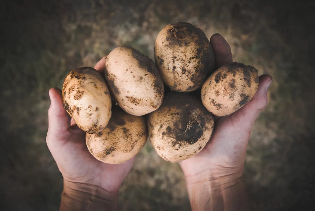 А ви не знали! Ці овочі заважають вам схуднути 1