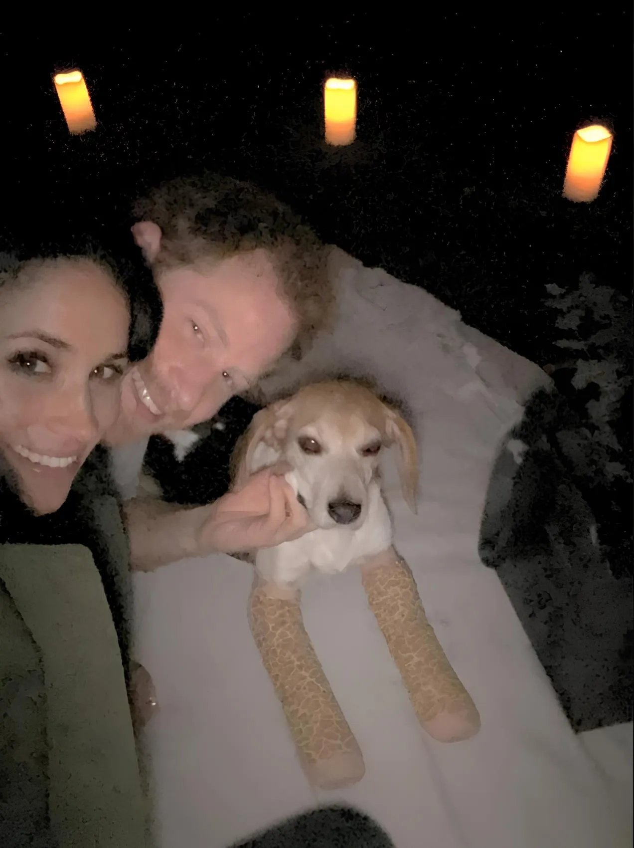 Мег и Гарри любят собачек! 