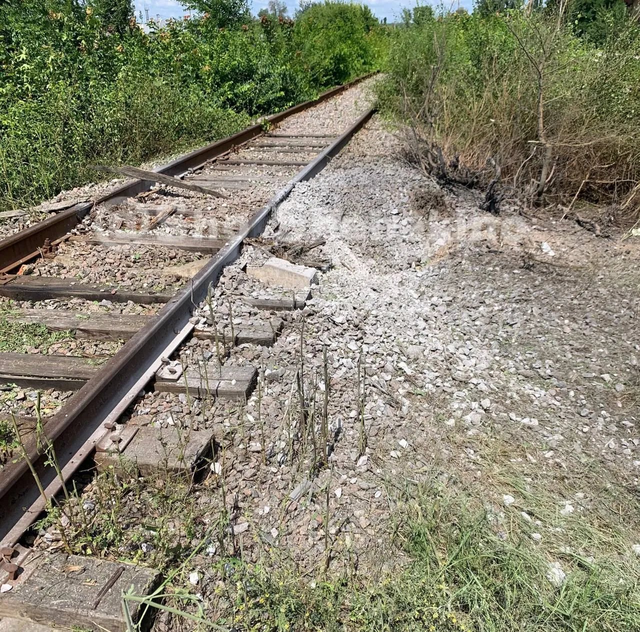 Бавовна на Білгородщині