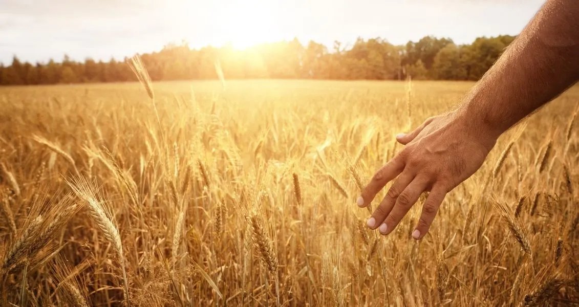 В народе Сысоя Великого считают покровителем земледельцев