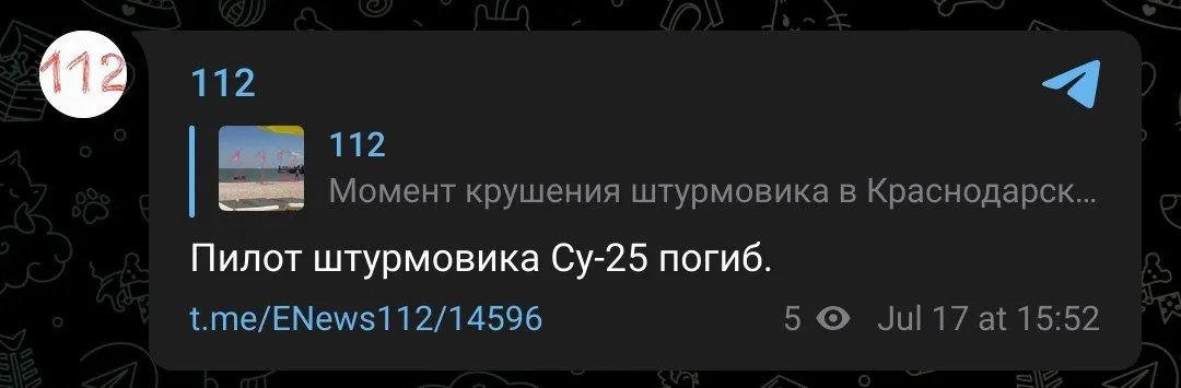 Истребитель России самоуничтожился прямо над головами отдыхающих: яркое видео 1