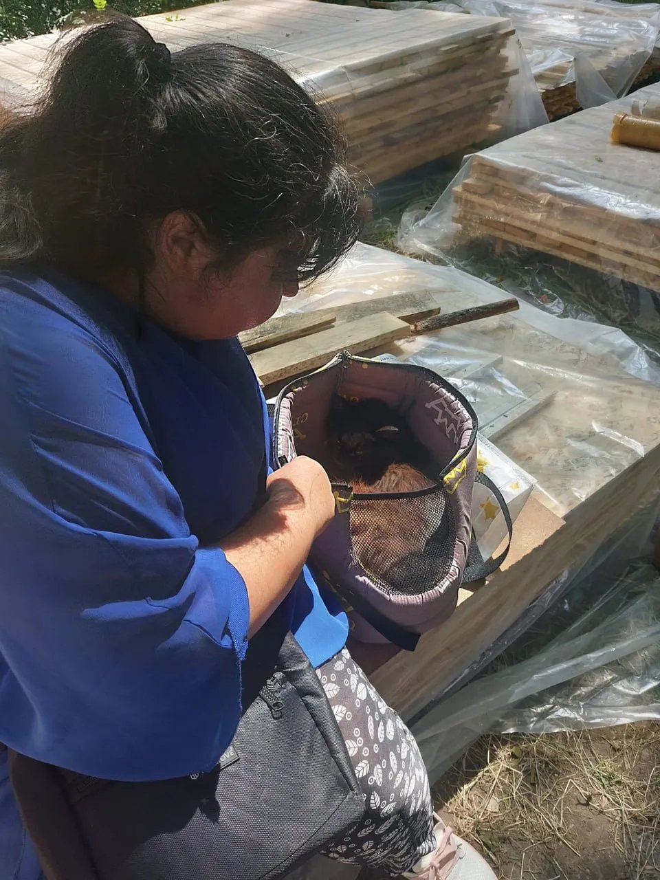 Вижив через 11 днів: у Львові з під завалів дістали пухнастого Черчилля - фото 1