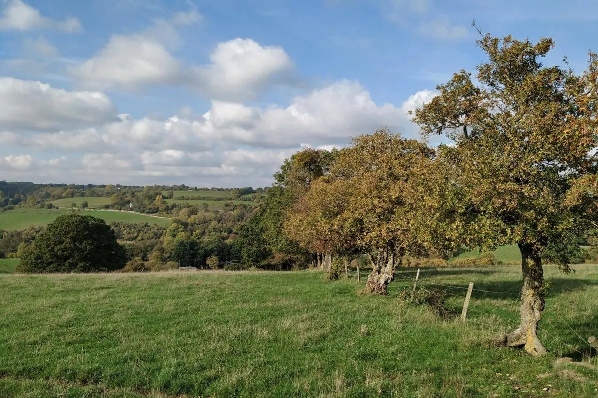 Свята Ольга вважається покровителькою матерів синів і вдів