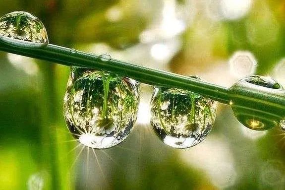 У народі свято називають Прокл Великі роси