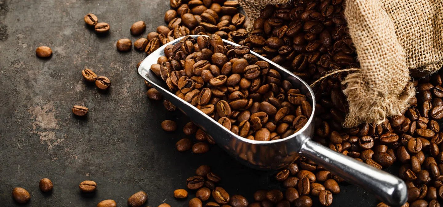 Противники кави програли! Вчені зробили відкриття, яке поставило все з ніг на голову 1