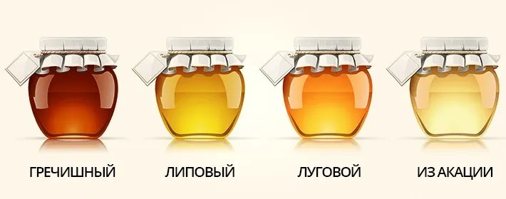 Виды меда