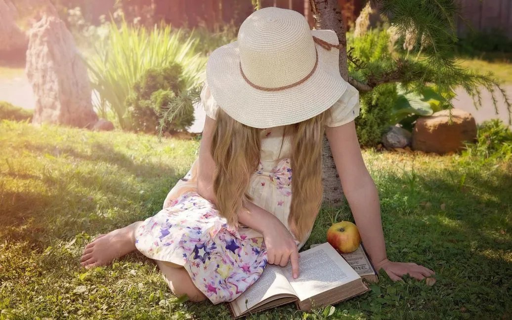 День книголюбов (Book Lovers Day) День книголюбов (Book Lovers Day)