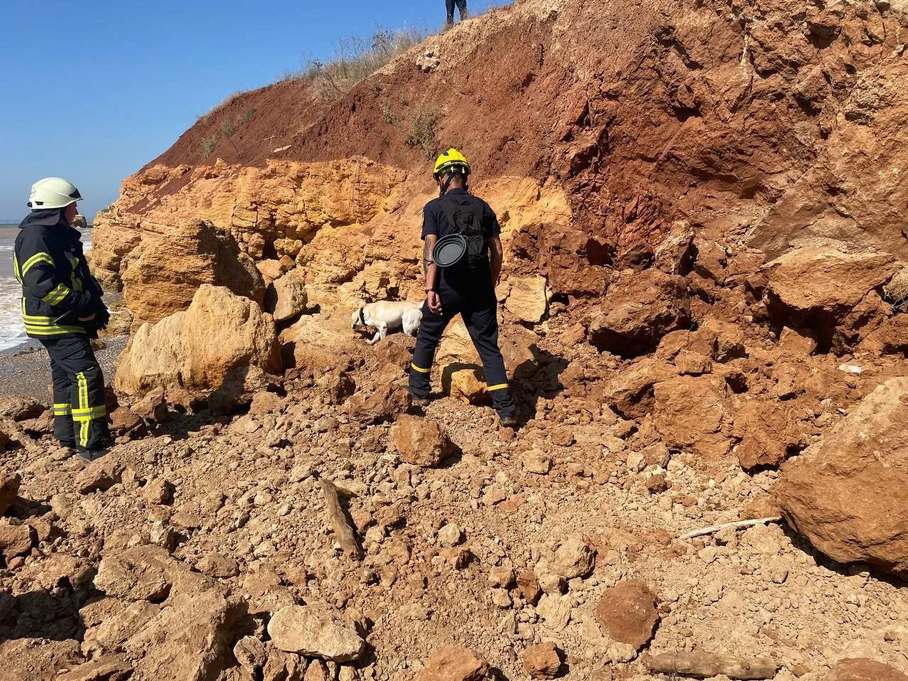 К поиску привлекли собаку-спасателя