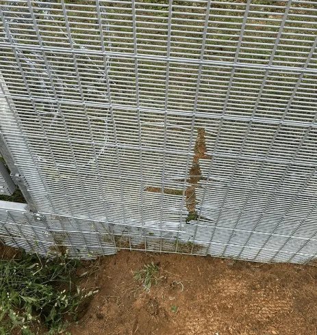 После того, как нелегалы ​​оказались в Литве, пограничники закрыли дыру