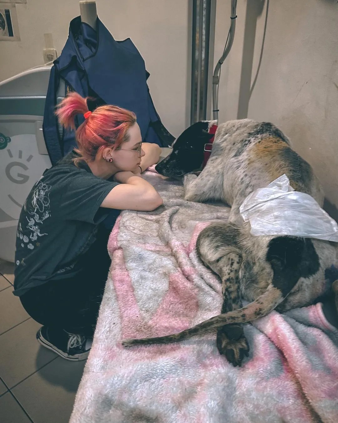 В работе часто приходится сталкиваться с человеческой жестокостью