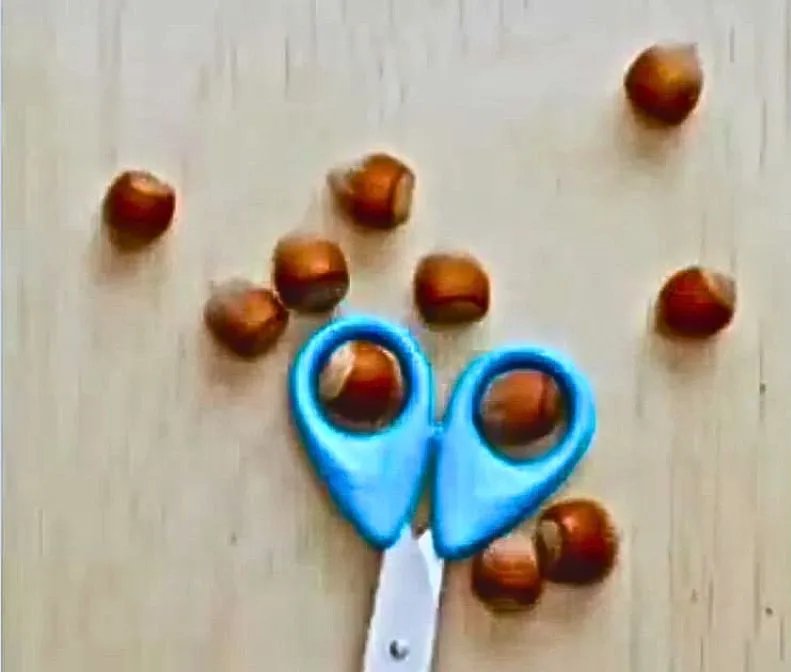 Ножиці з широкими вушками