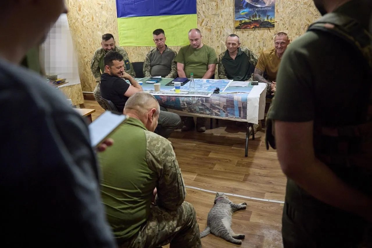 Лінивий кіт на нараді Зеленського з генералами. Фото: ОПУ