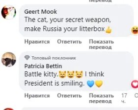 Кіт-розвідник після секретного завдання: у мережі обговорюють фото пухнастого агента на нараді Зеленського з генералами 3