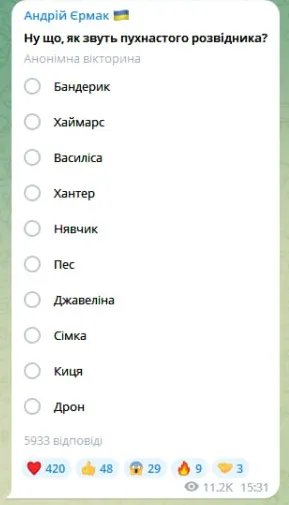 Єрмак пропонує вгадати ім'я кота. Фото: скріншот