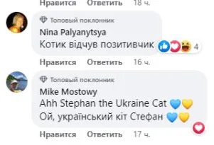 Кіт-розвідник після секретного завдання: у мережі обговорюють фото пухнастого агента на нараді Зеленського з генералами 4