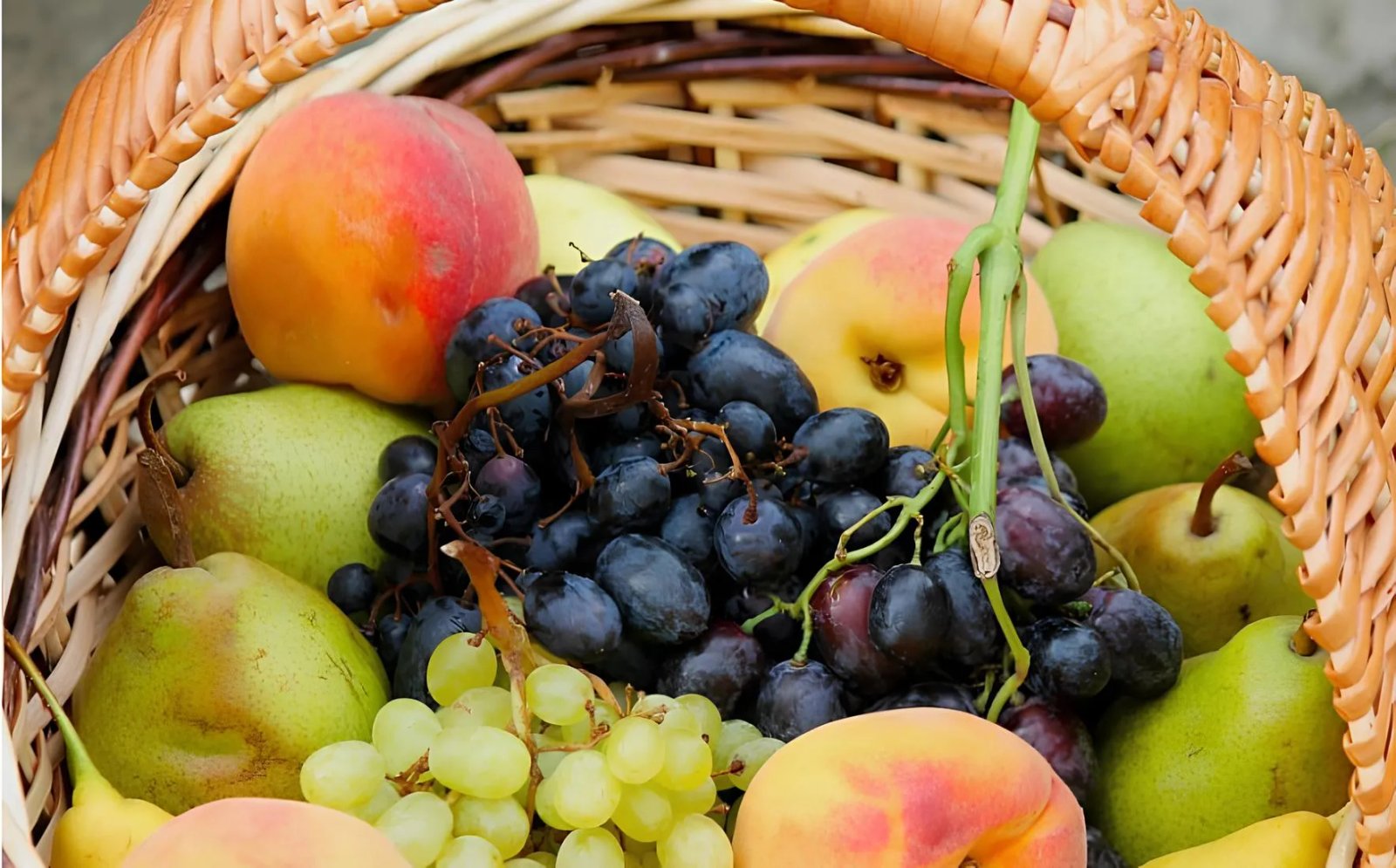 Осенние дары в корзине к Яблочному спасу выглядят очень аппетитно. 