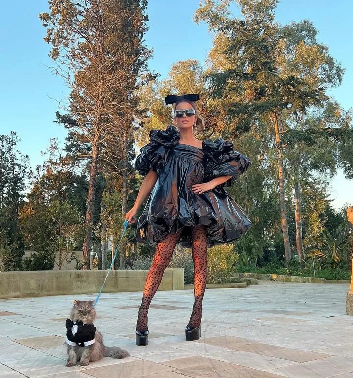 Акторка пишалася своїм котом