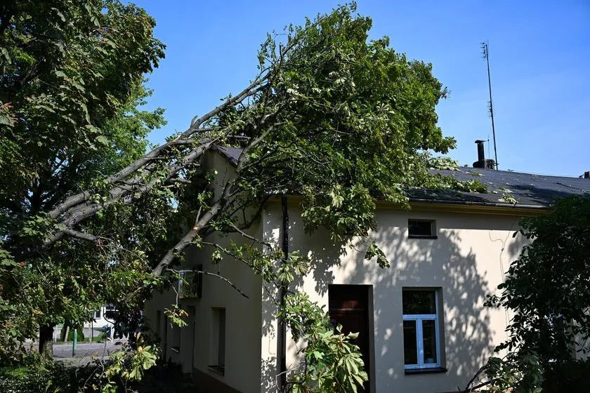 Усунення наслідків суботнього шторму в Дембіці. Фото: PAP/Дарек Делманович Усунення наслідків суботнього шторму в Дембіці. Фото: PAP/Дарек Делманович